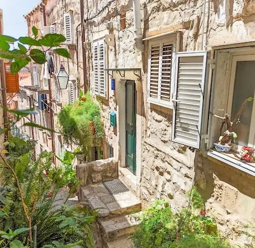 Roko, Old Town *