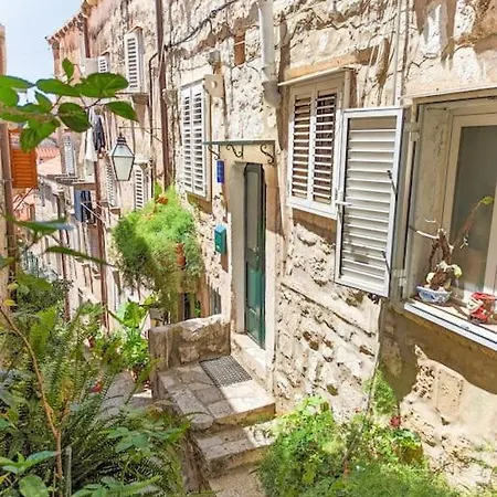 Roko, Old Town *